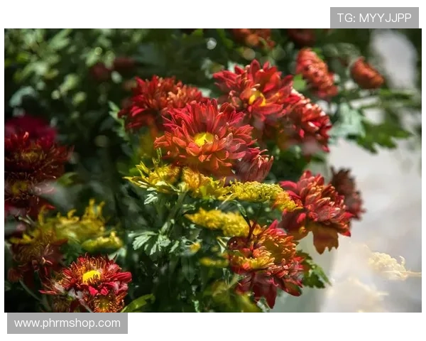 大满贯娱乐在线带你体验极致的线上娱乐盛宴，尽享丰富多彩的游戏娱乐内容