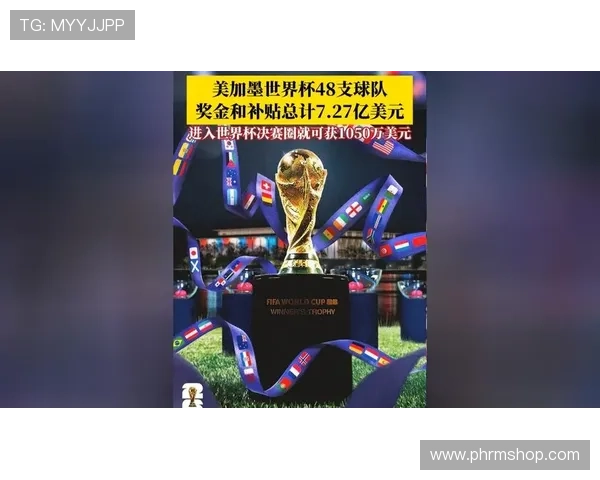 了解世界杯最高中奖金额:哪些国家曾获得过史上最高奖金